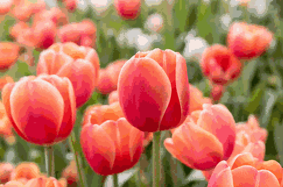 海关数据,BG大游集团海关数据,荷兰海关数据 海关数据,BG大游集团海关数据,荷兰海关数据