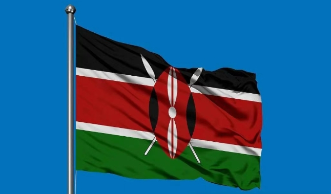 肯尼亚海关数据查询平台（附免费试用查询名额）